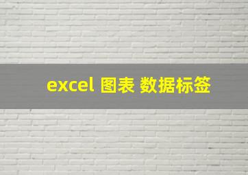 excel 图表 数据标签